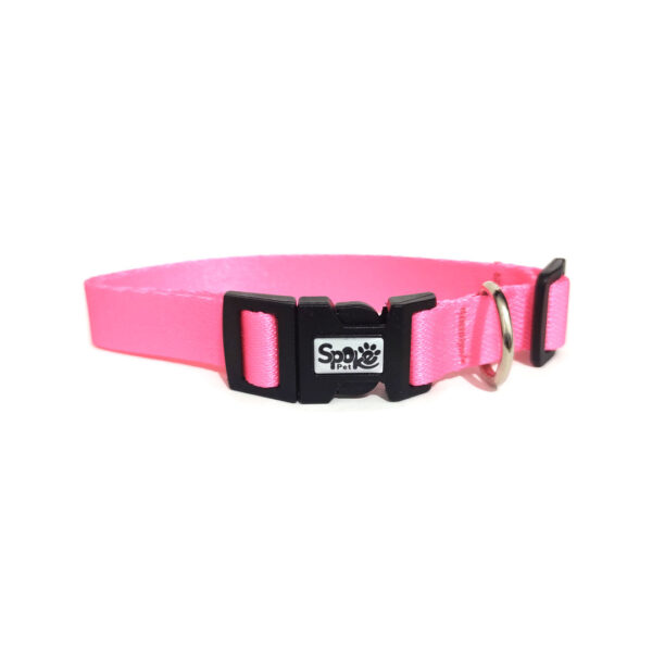 Coleira para Cachorro Rosa Neon